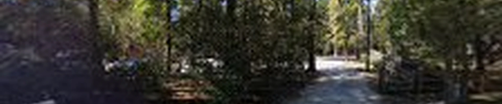 Results Tree and Landscape Inc.
