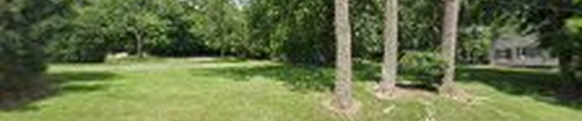Luis m tree service & landscaping inc.