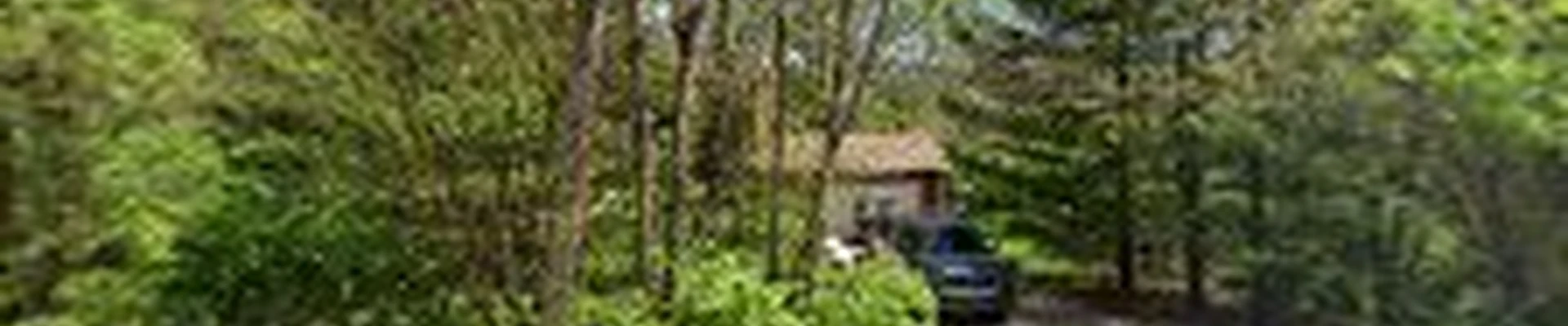 Brass Lawn Care & Landscaping