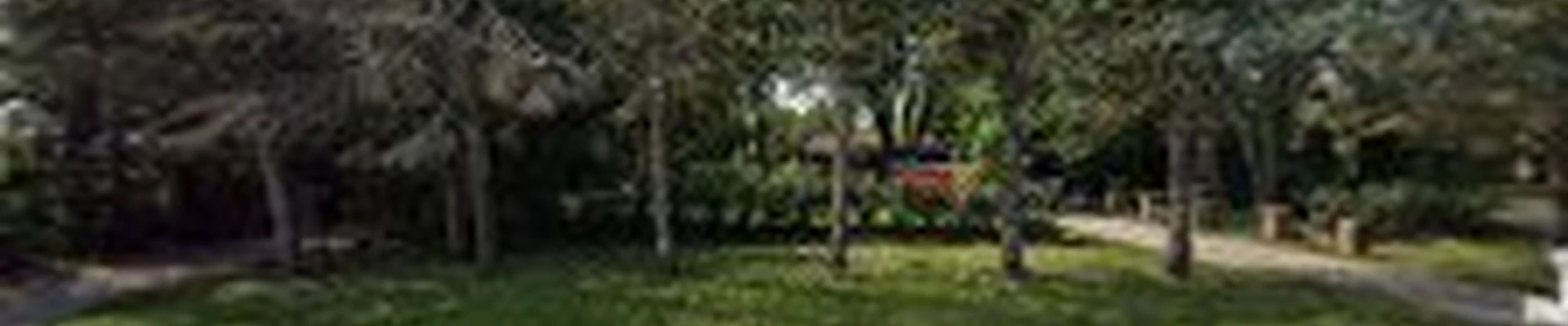 Steve's Landscaping Inc