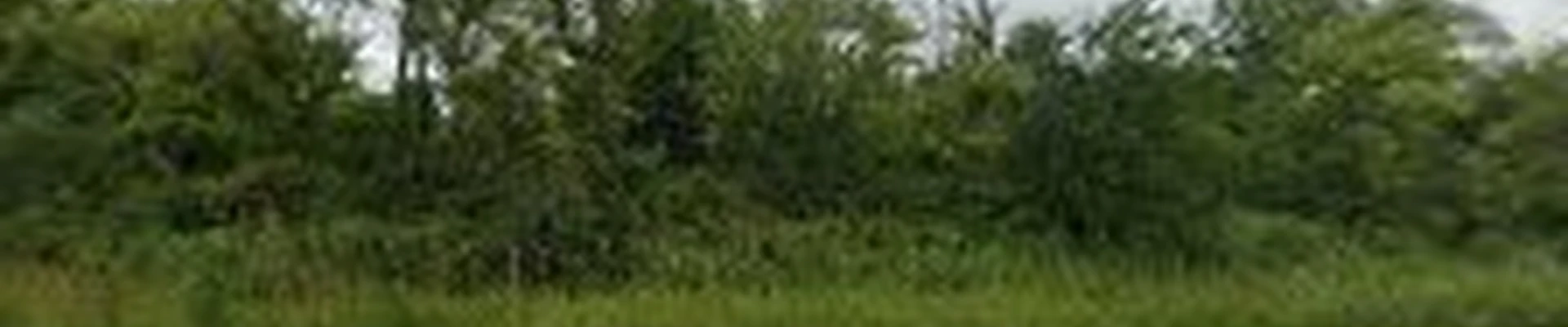 BLP Construction - Excavating, Hauling & Landscaping Products
