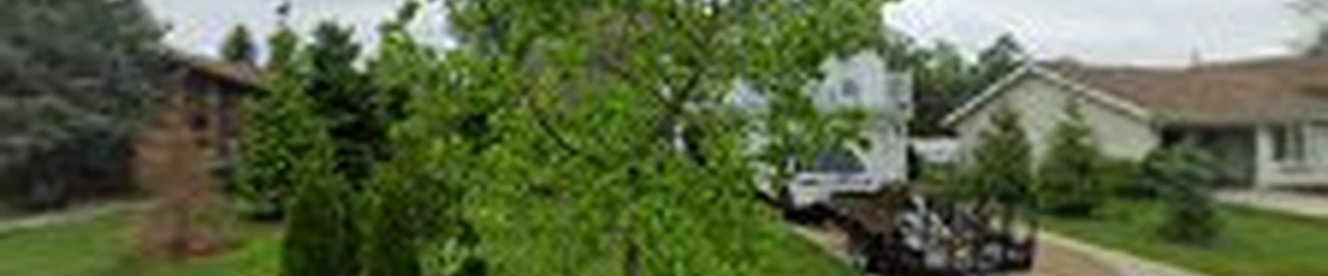 Meadows Landscaping & Contracting, LLC