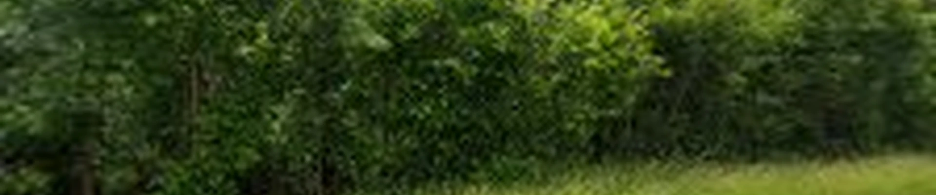 Allscape Landscaping