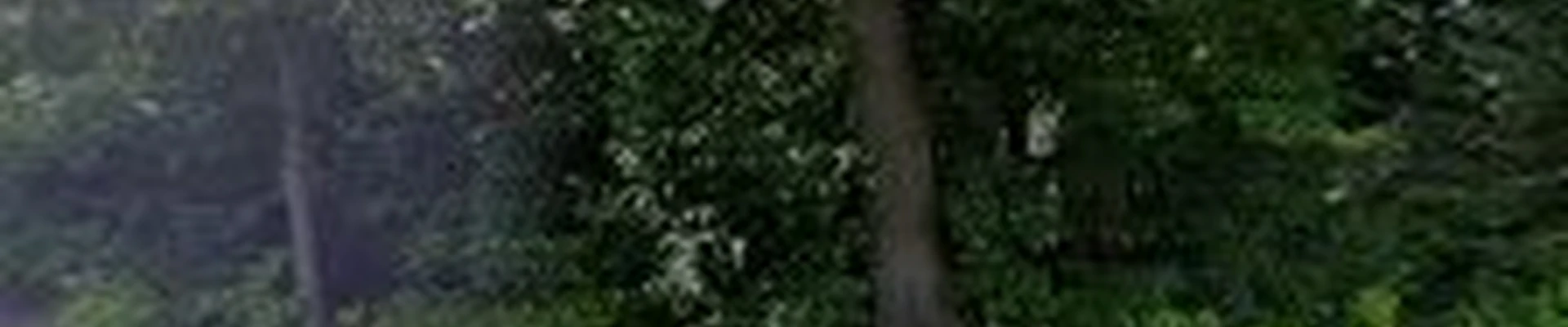 Jesse's Landscaping