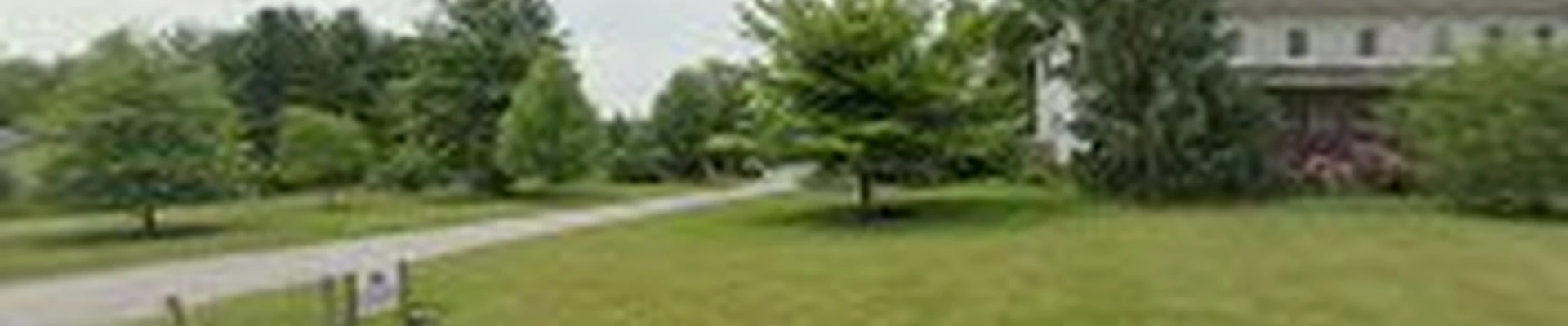 Mike's Tree Service & Landscaping, LLC