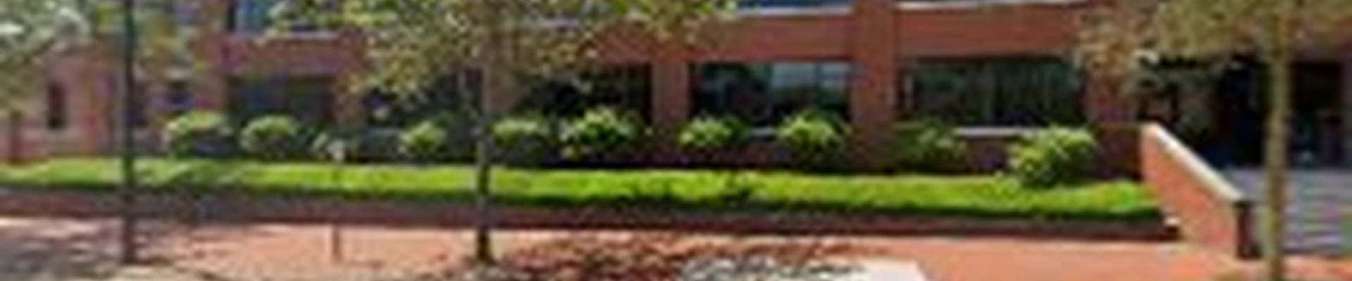 Hydrolawn Landscaping & Design Inc.