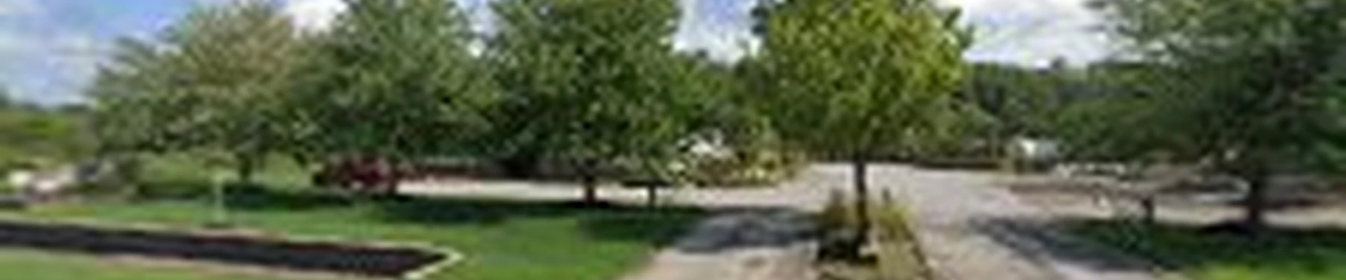 Diamond Cut Landscaping & Garden