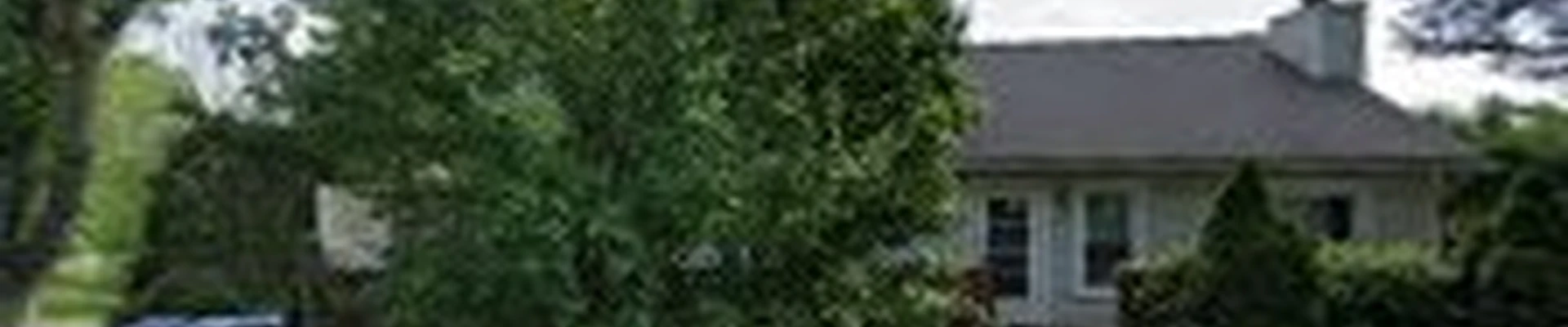 Advanced Arboriculture TREE SERVICE