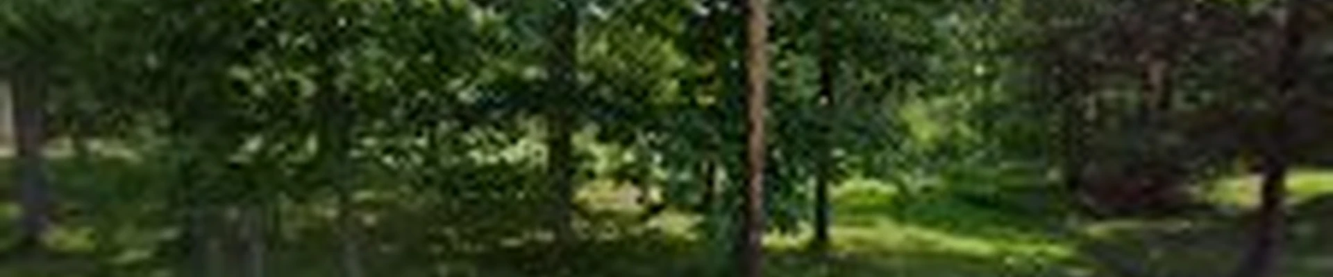 D&D Maintenance - Lawn and Landscape Professionals