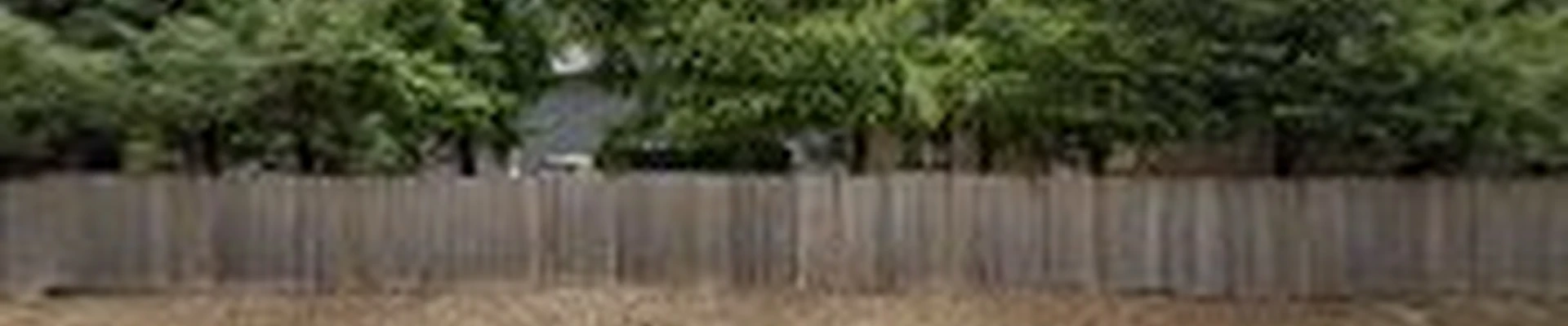 Evergreen Tree Services