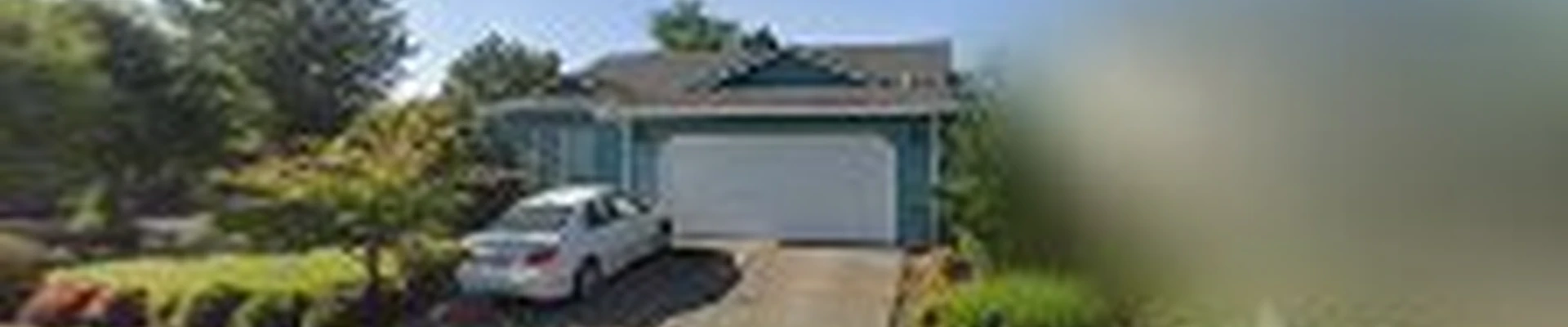 Blue Pine Painting LLC