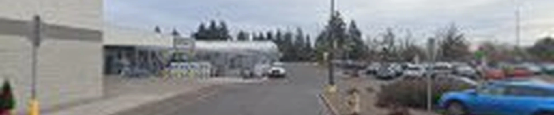 Walmart Garden Center