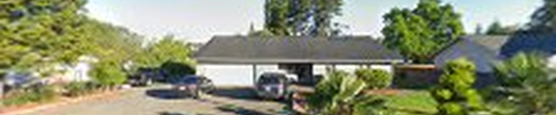 New View Irrigation & Landscaping Services LLC