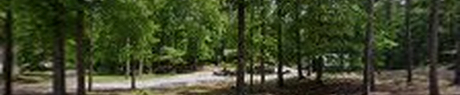 Allstar Landscaping, LLC
