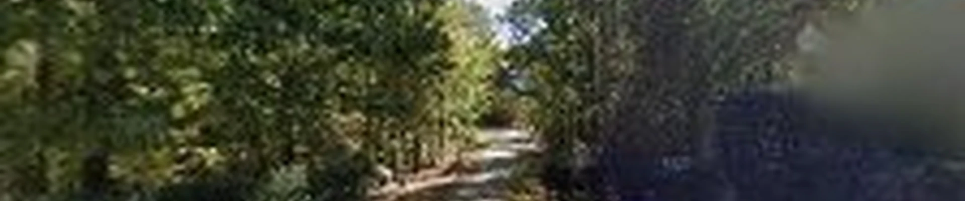 Backyard Paradise LLC (Alabaster, AL)