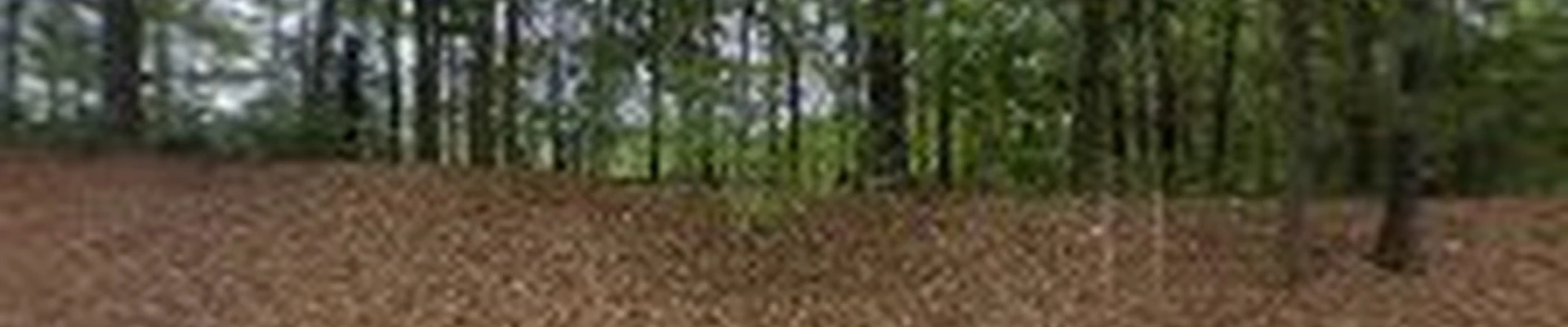 Choice Landscapes