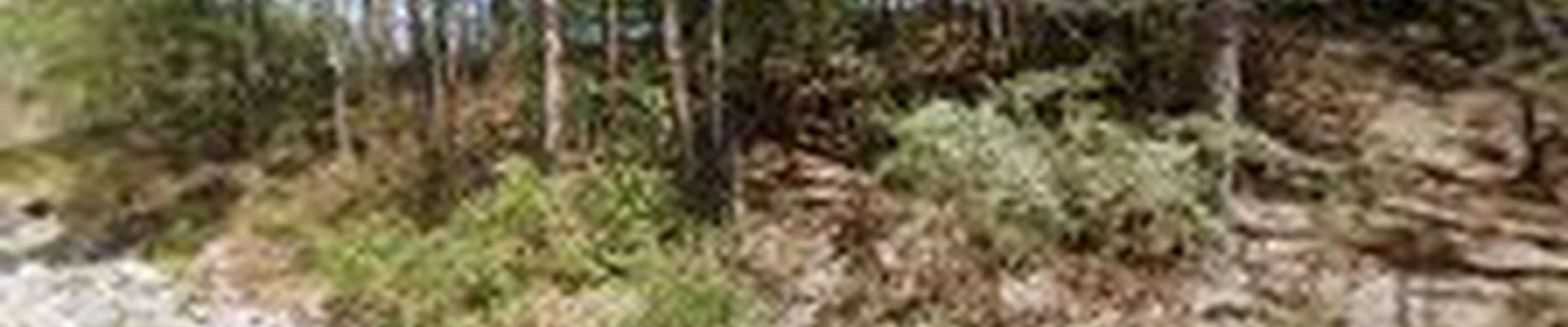 T&D Landscaping