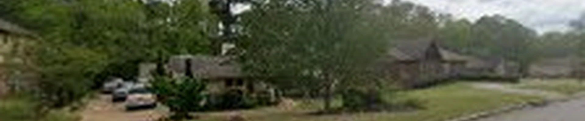 Neighborhood Lawn and Landscape