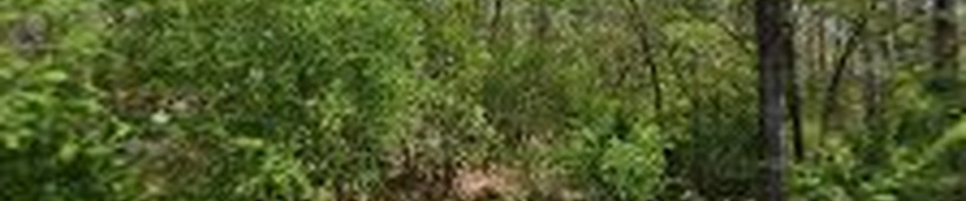 Ware landscapes