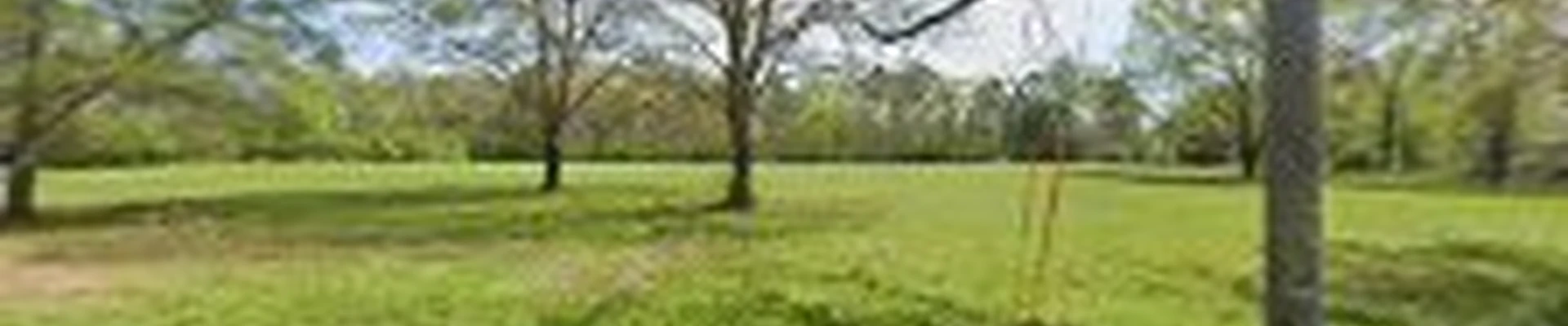 Davis Lawn Care