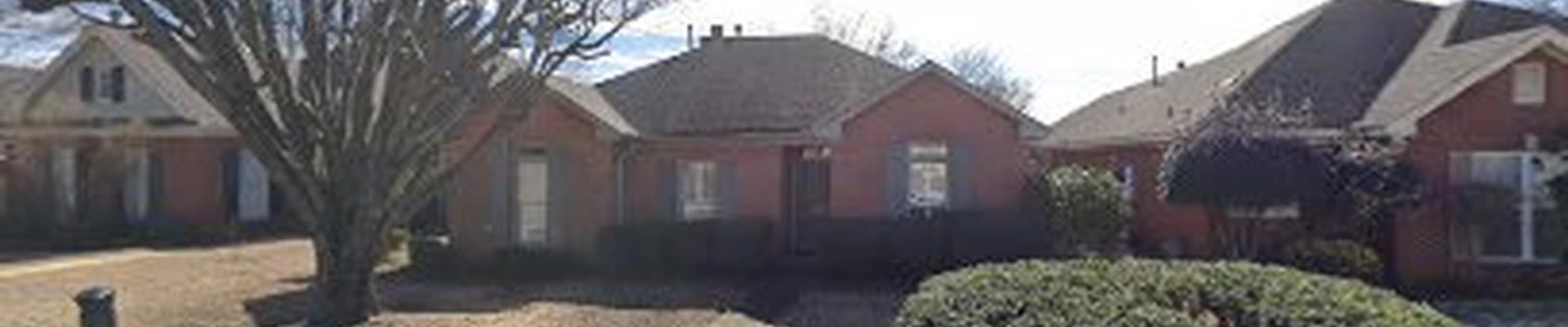 Tyler Johnston Landscaping