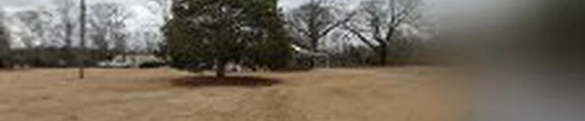 Rok Solid Lawn Care