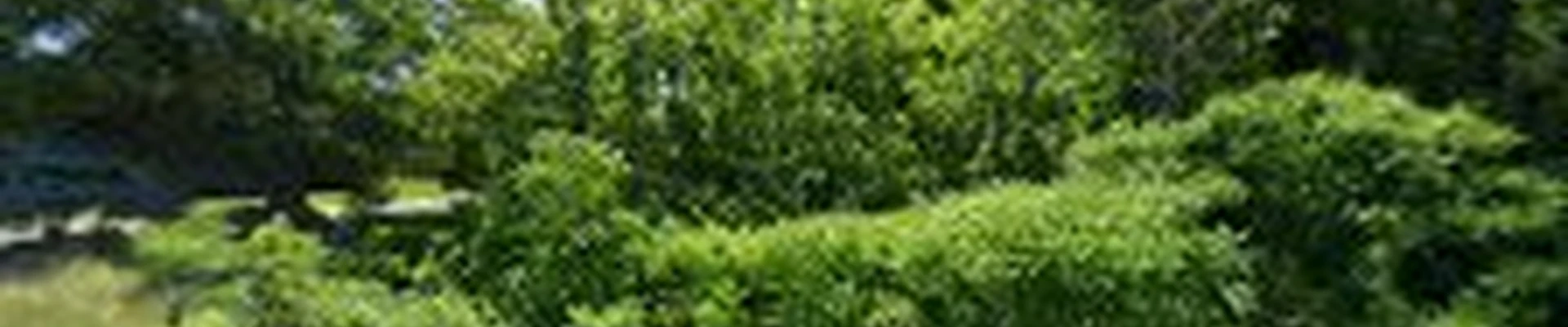 Windscapes Landscaping Inc