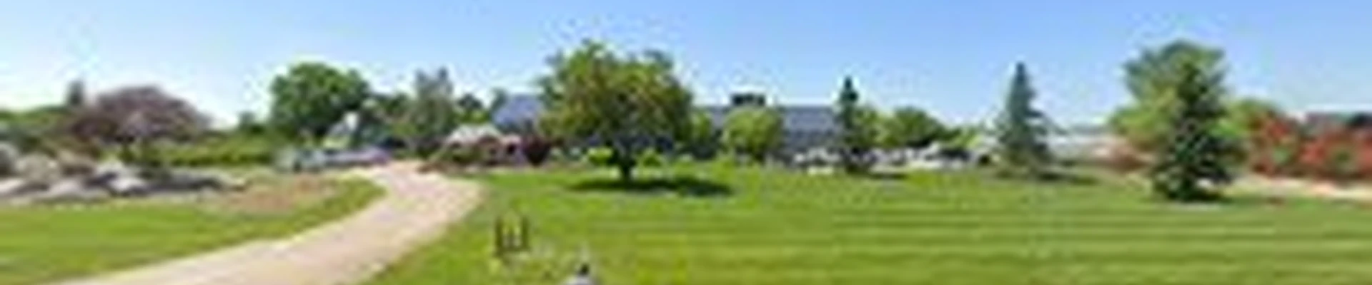 Evergreen Landscaping