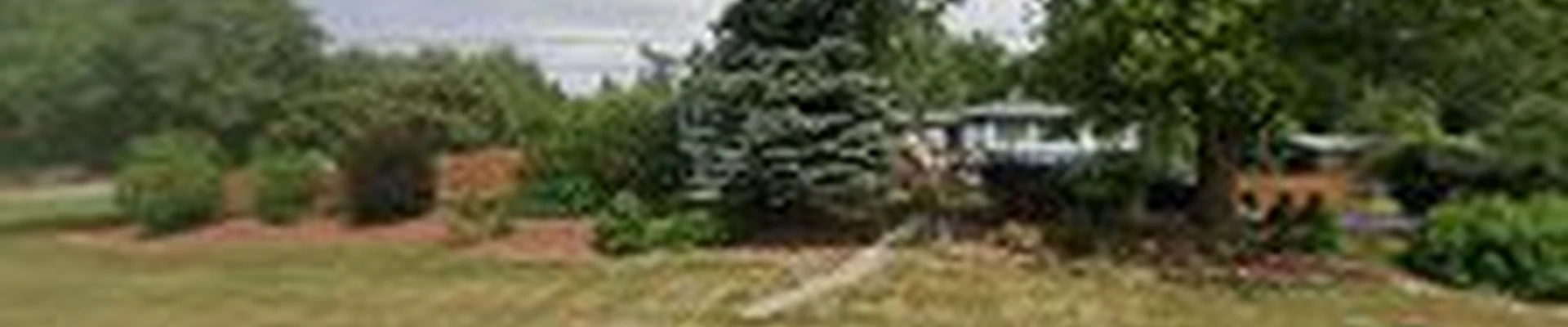 Fresh Cuts Lawn Care and Landscaping LLC