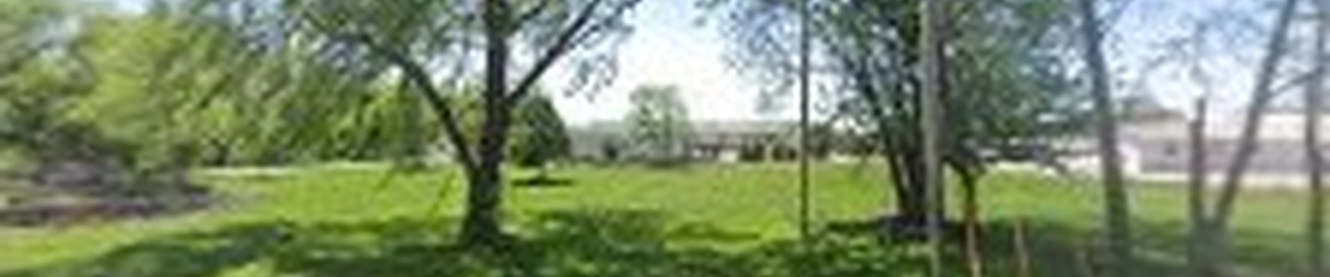 Pro-Mow Lawn Care & Landscaping, LLC