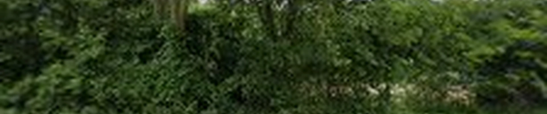 That’s Wild Landscaping LLC