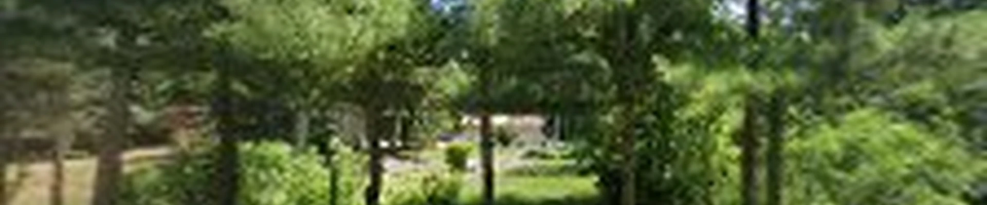 S & S Lawn Care & Snow Plowing