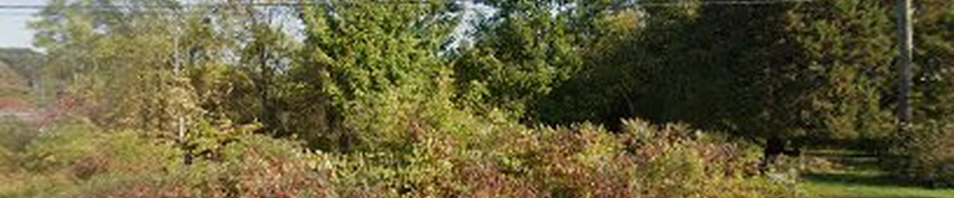 Distinctive Landscape Management LLC
