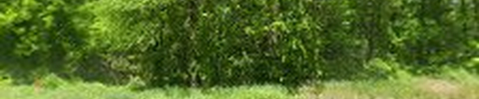 Scholten Landscape Maintenance