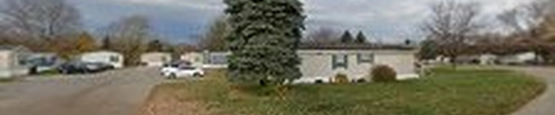 Springdyke landscape LLC