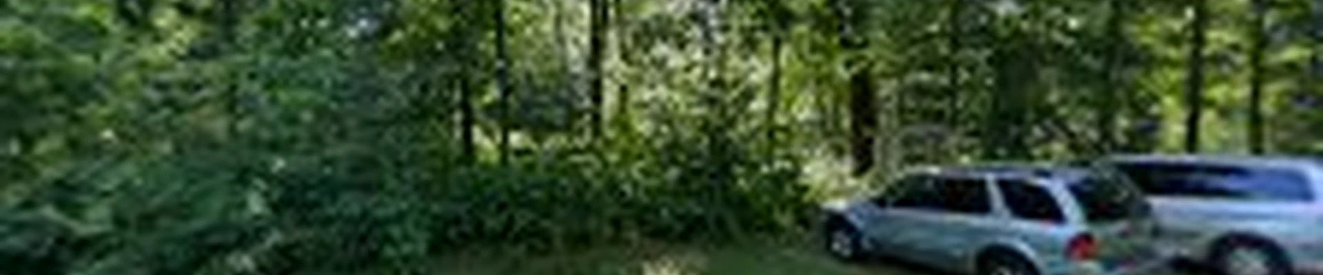 PJ Landscaping