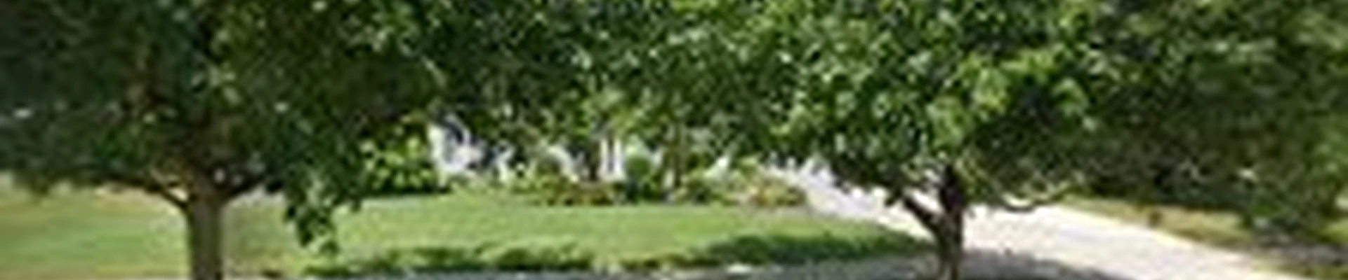 Keifer and Lapp Landscaping, LLC