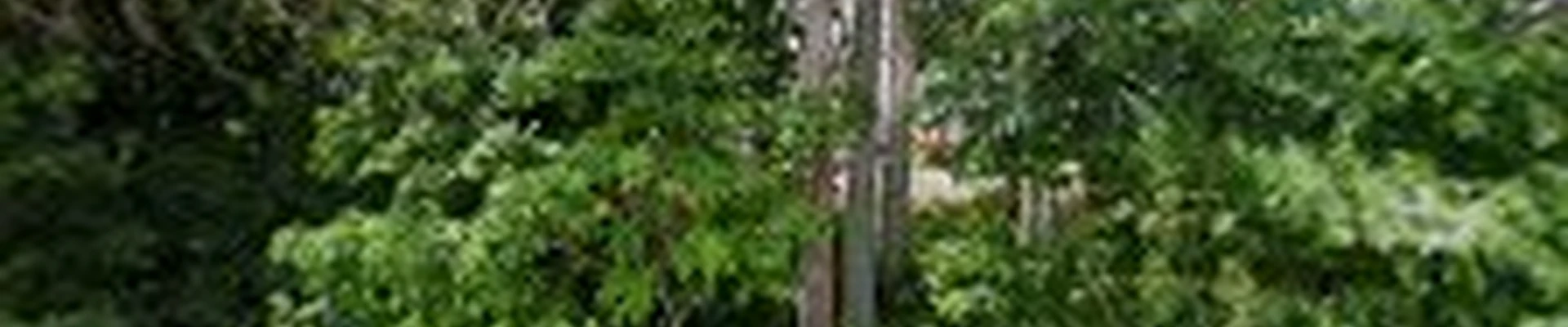 R&A Landscaping