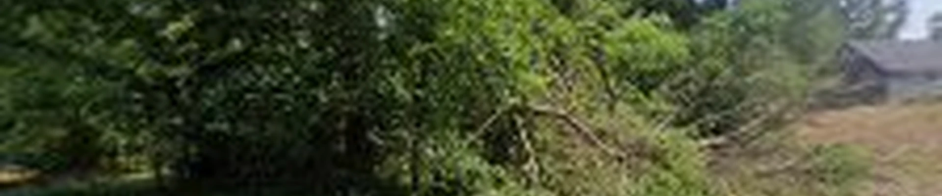 Shear Outdoors