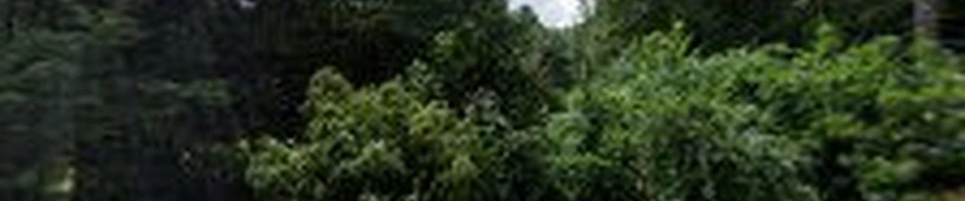 Snows all seasons landscapeing llc