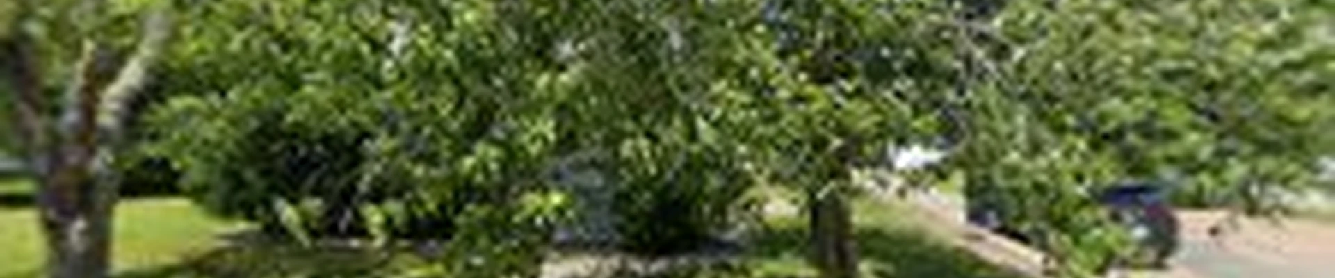 Briggs Property Management LLC