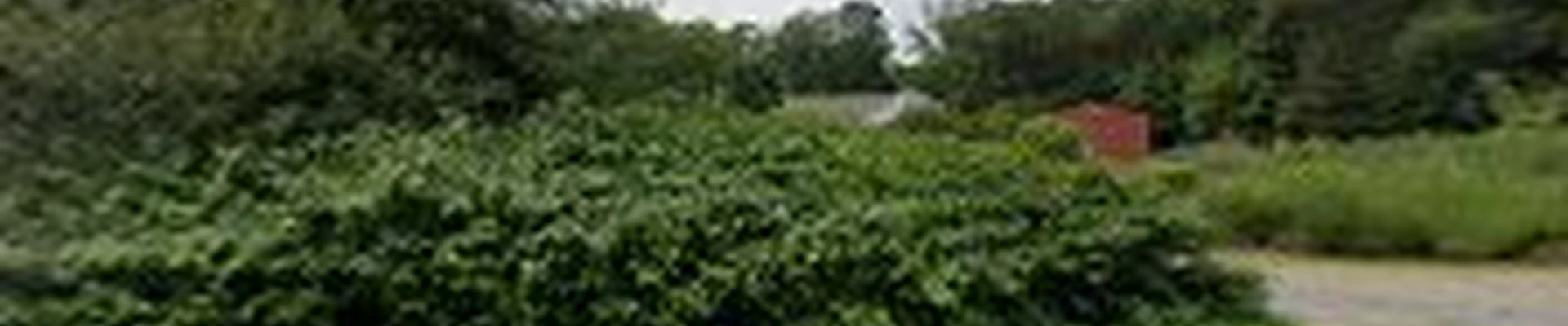 A&P Landscaping Co.