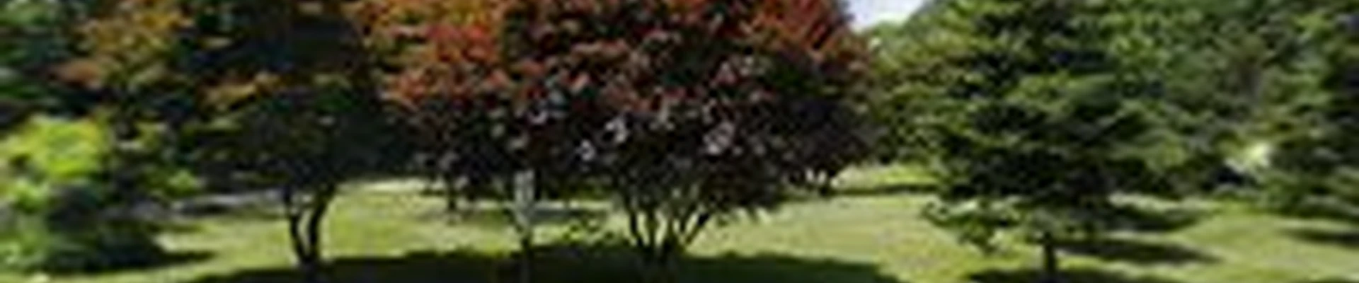 Scenic Style Landscaping
