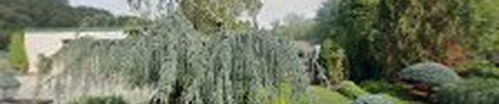 Violet Hill Landscaping and Nursery Co