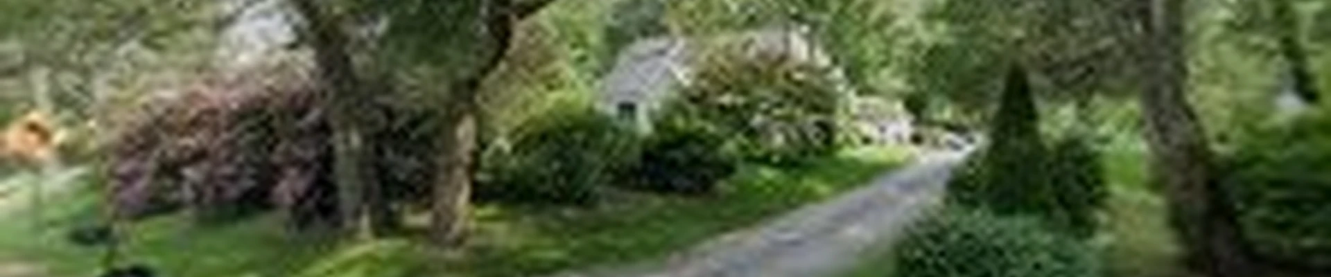 Gray-Line Landscape & Construction