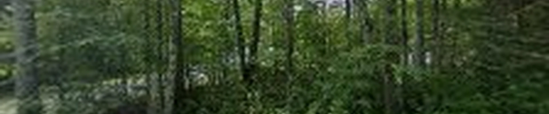 B.M. Landscaping co Inc