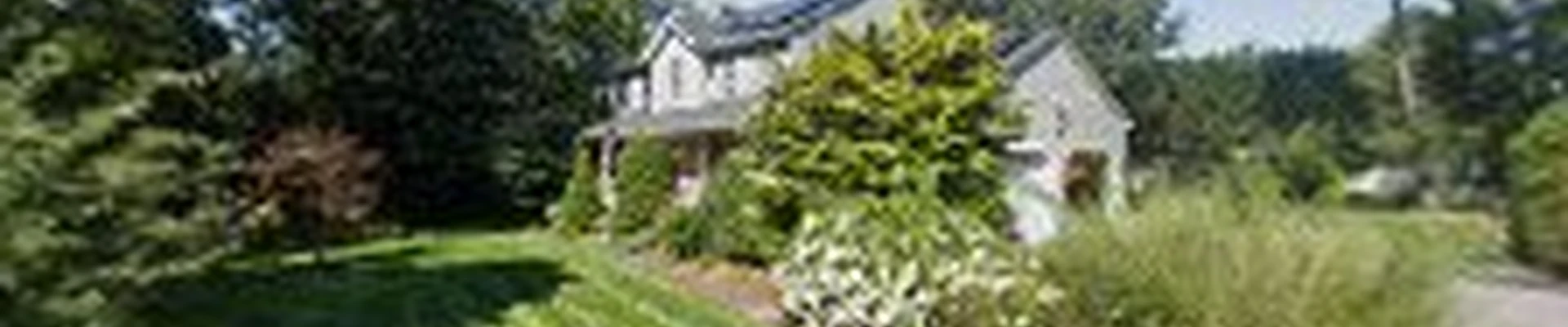 Pro Landscaping Inc
