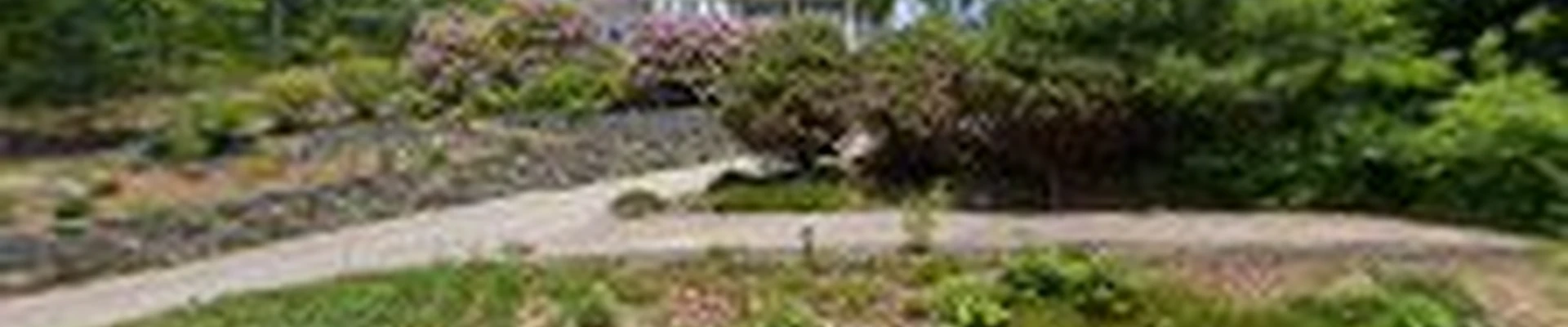 Total Lawn Care and Construction LLC