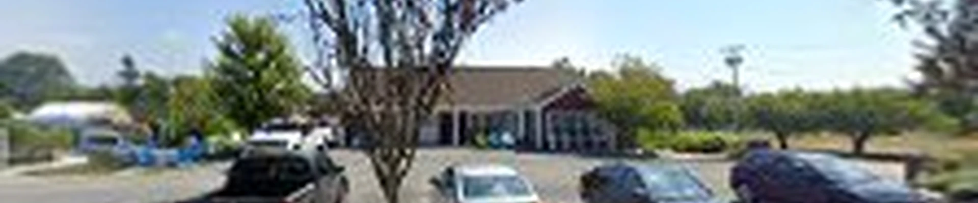All Island Landscape Inc