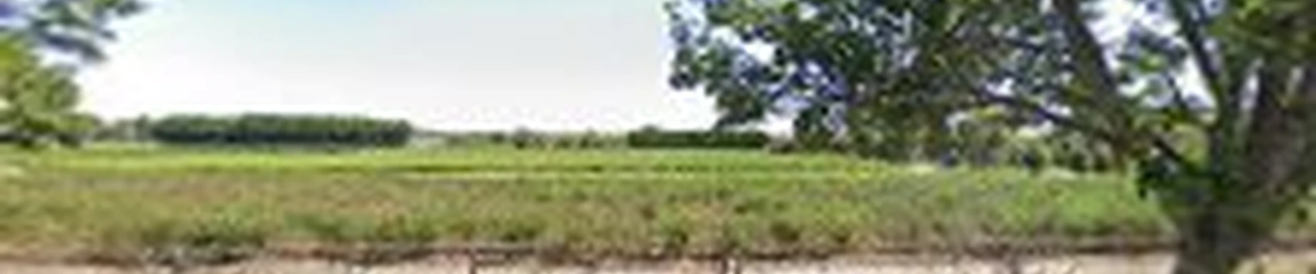 Rafas Landscaping